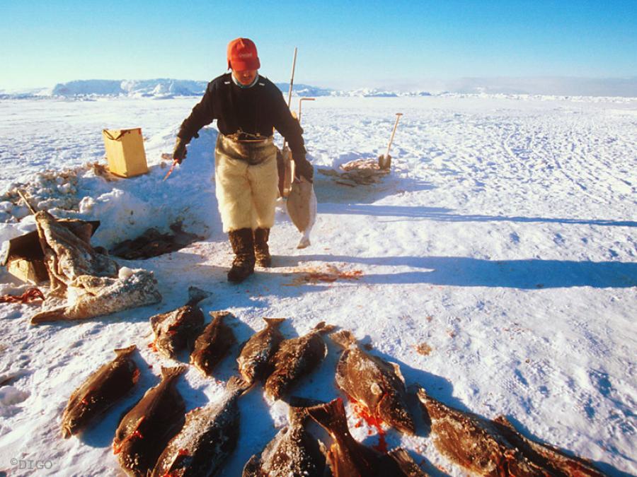 Sikumi qaleralinniaq
