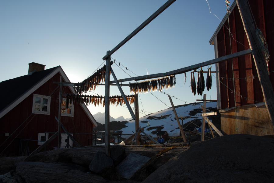 Panertitassat. Kuummiut, juunip 9-at 2009