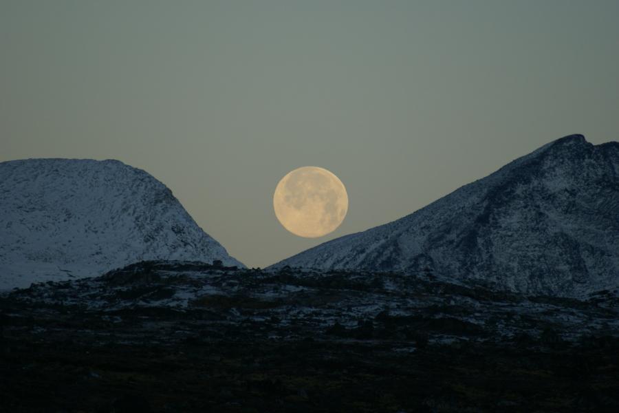 Full moon, November 2008
