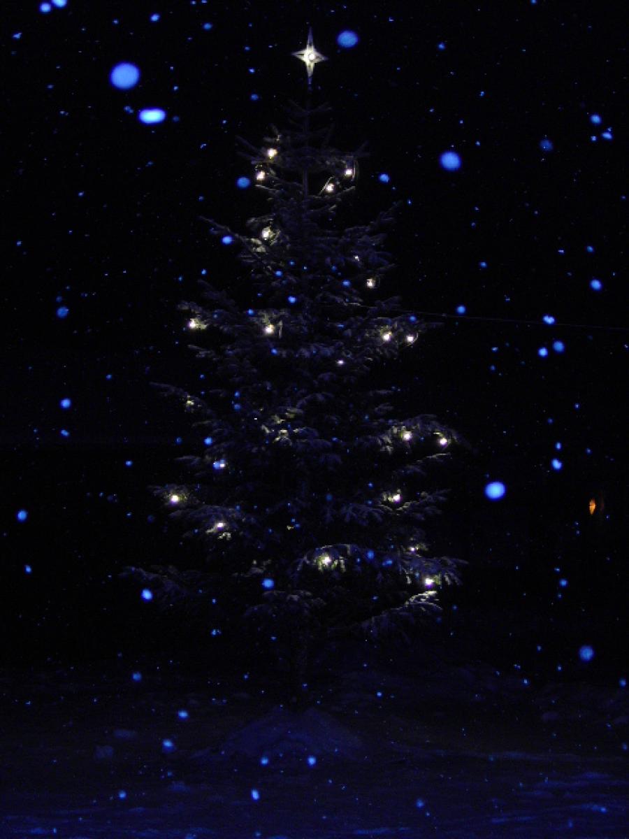 Christmas tree in Kangaamiut