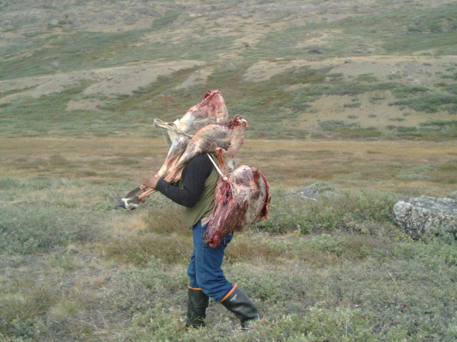 Aavartoq. Ilulissat eqqaanni, aggustip 30-at 2005