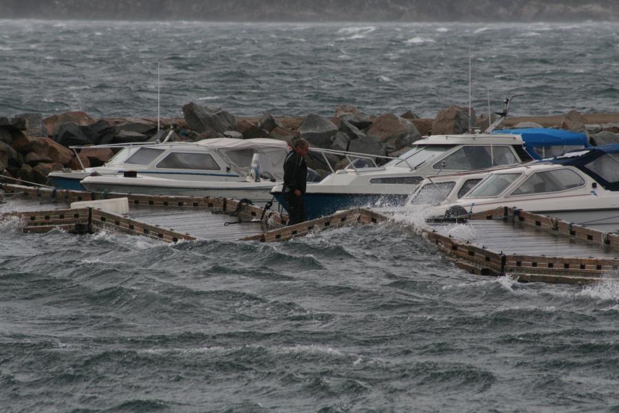 Anorersuaq. Qaqortoq, septembarip 22-at 2010