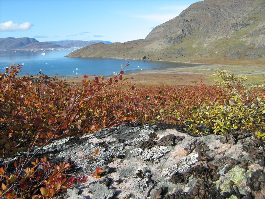 Beginning of the autumn - around Narsaq, September 2018