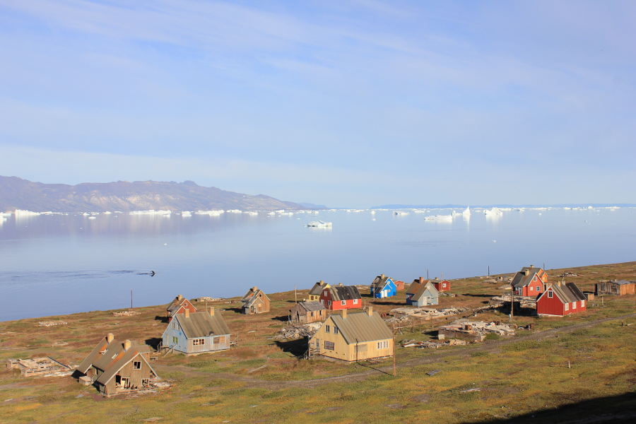 Whales in front of Qullissat, August 2013