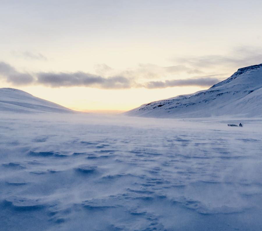 Slædekørsel på den frosne elv, Qeqertarsuaq januar 2018
