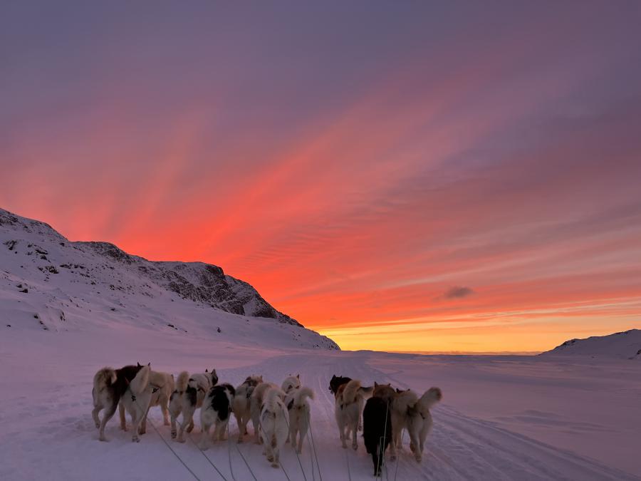 Qimusserlunga ualisoq