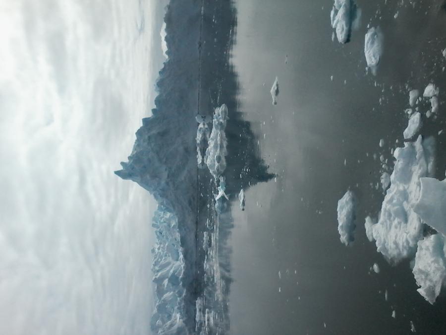 Ilulissat maniitsuaqqat aniasut
