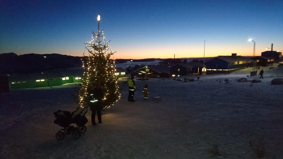 Qasigiannguit orpiat kigusinaalaarluni ikippoq.