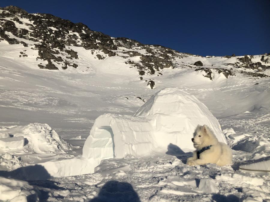 Valdemar ukiut tamaasa illuigaliortarpoq. Nuuk, januaarip 29-at 2021