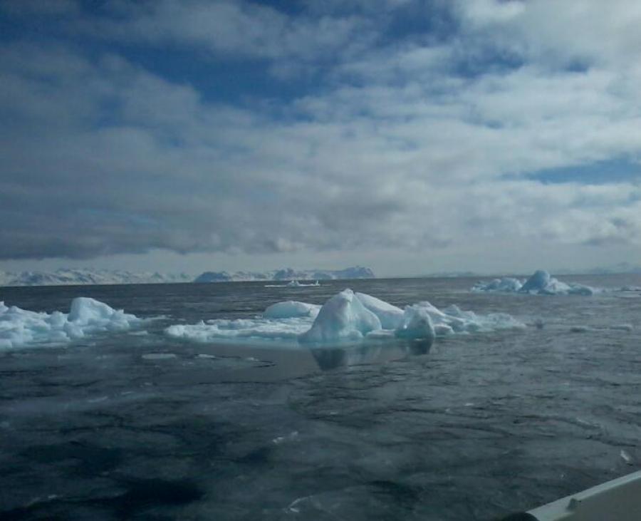pinialullunga sisimiut avataannik assilisaq