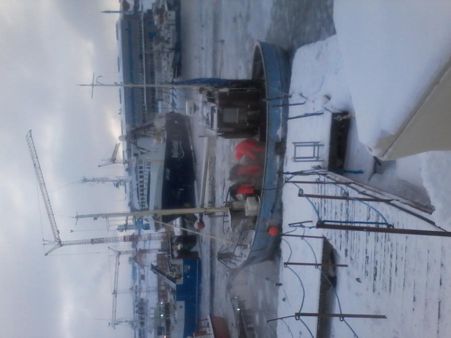 niuseqqammipput TO Haliput Greenland   TIA