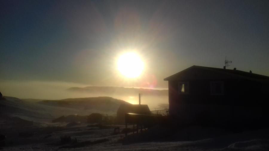 pujortoq
