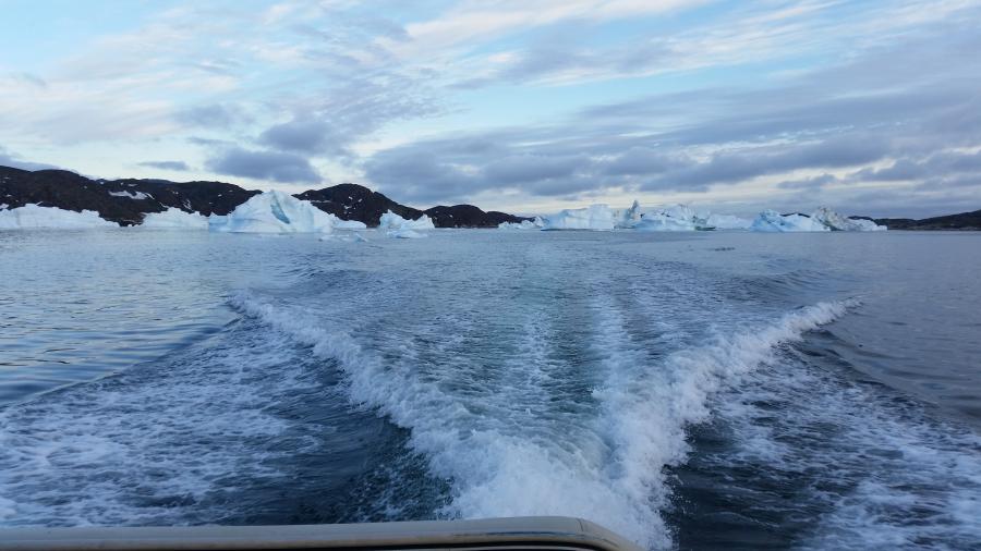 Qasigiannguanut tikilerluta iluliarasaartoq