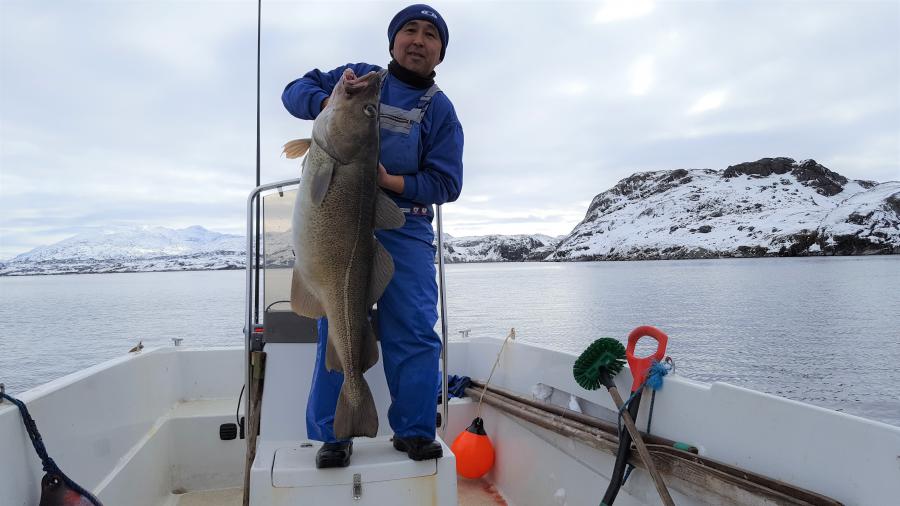 saarillingaatiaq