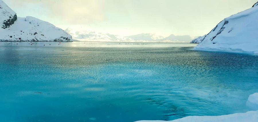 Maniitsoq 25/02-2020