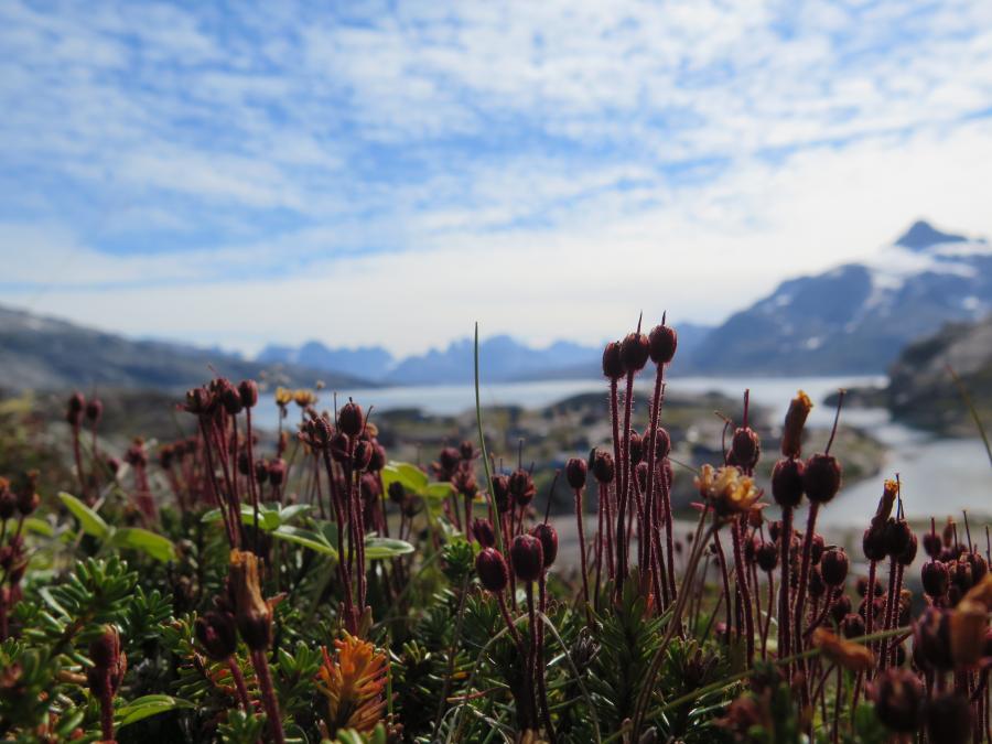 Aappilattoq 25.8.20