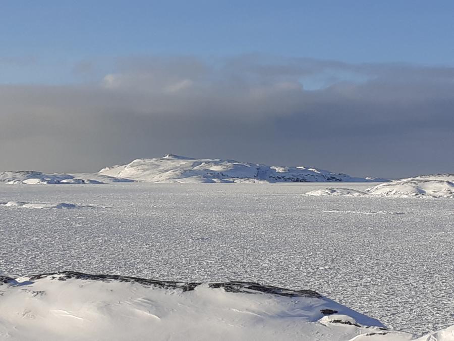 Mittarfiup tungaaniik