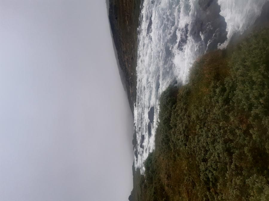 Kuussua eqaluit