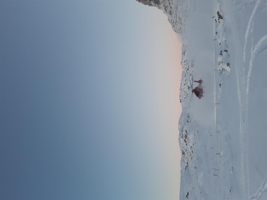 Air greenland