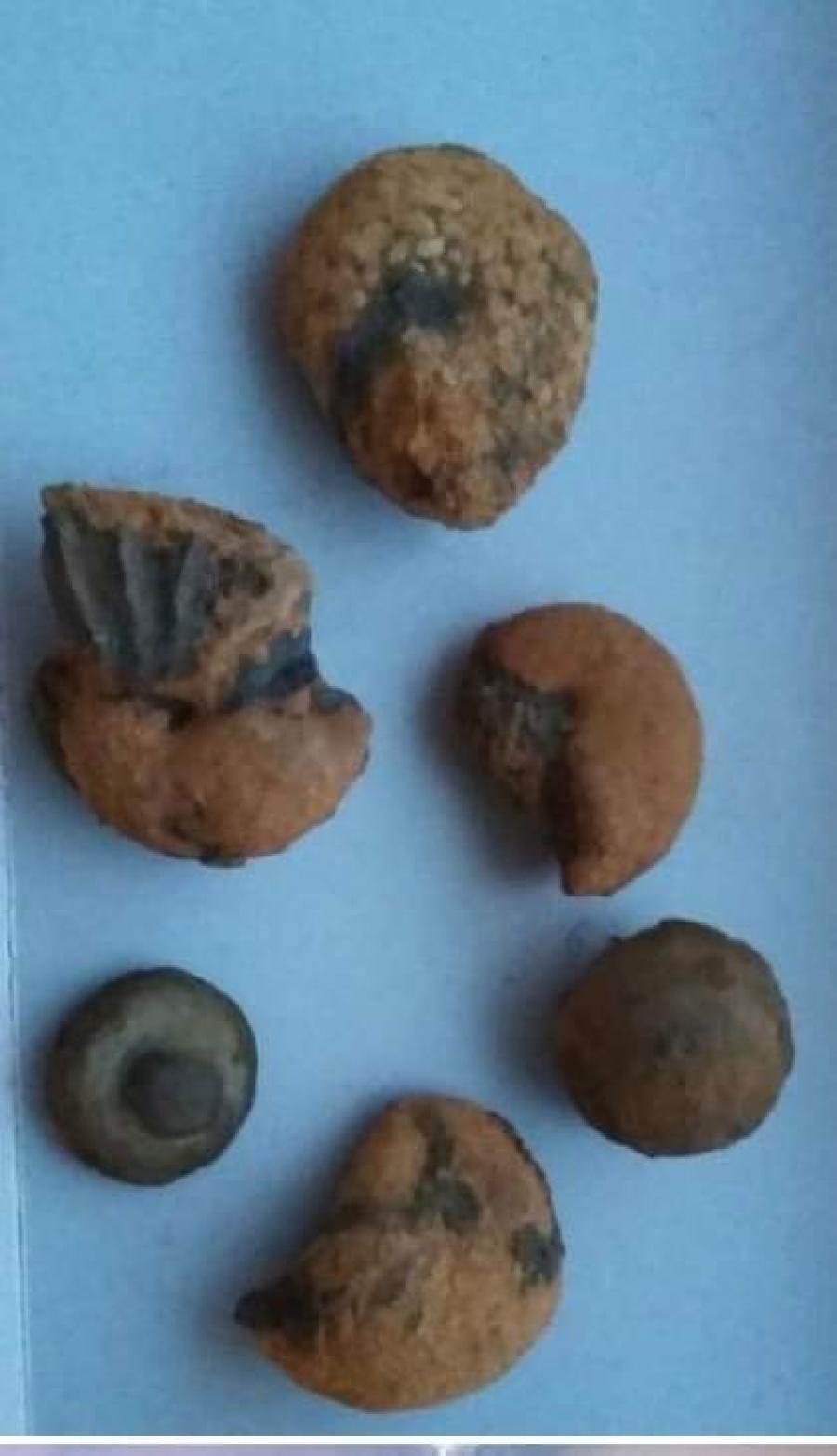 ujaranngornikut