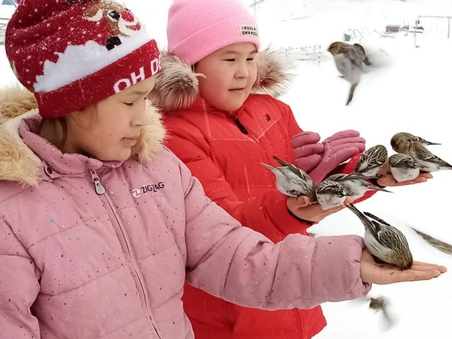 Meeqqat timmiaaqqanik nerisitsisut. Atammik, februaari 2022
