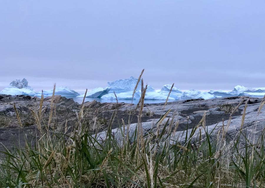 Ved sortesandstrand i Qeqertarsuaq
