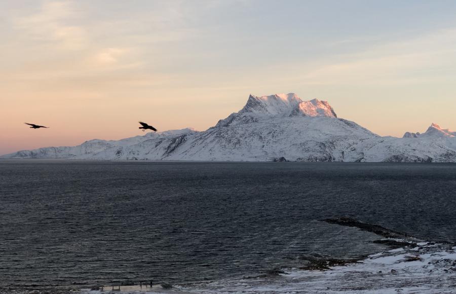 Sermitsiaq seqernup nuingaa tulukkallu, 25.11.2018