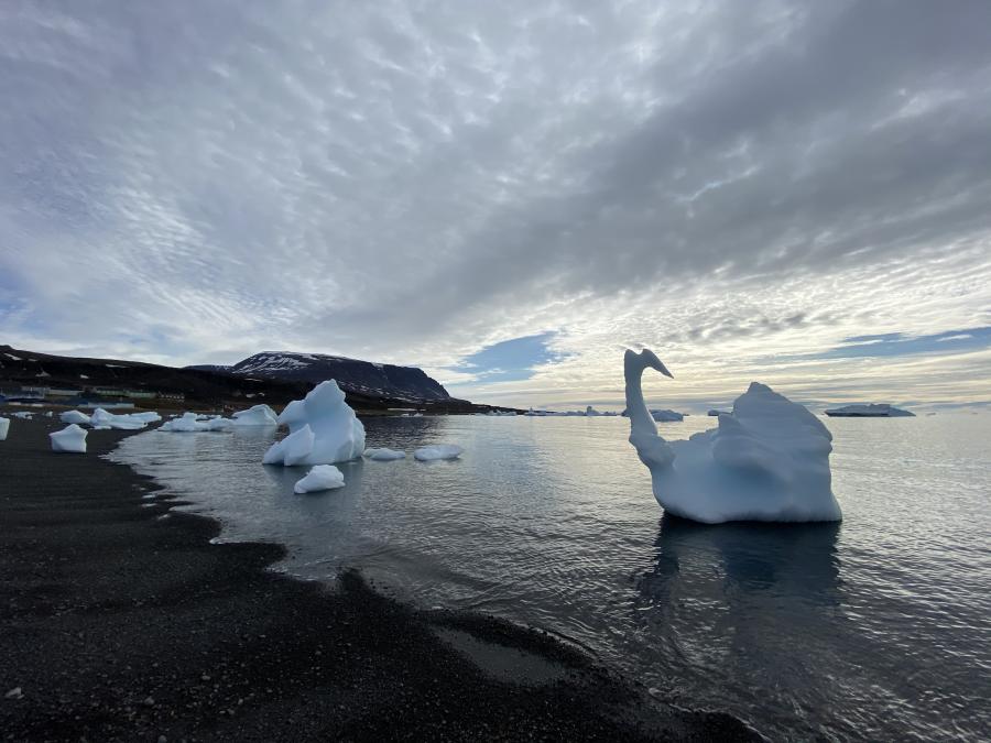 Siorarsuit sissaani. Qeqertarsuaq, juunip 10-at 2020