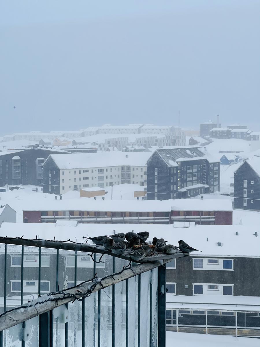 Upernalernerup ilisarnaatsi