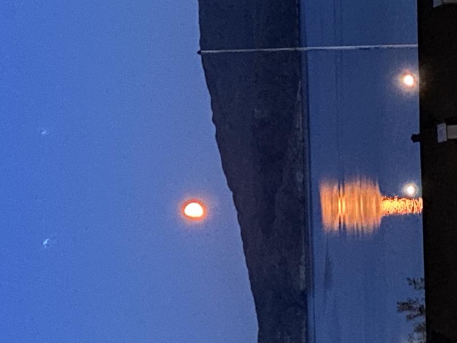 Qaammatip inissisimanera immamut tarranissimasoq