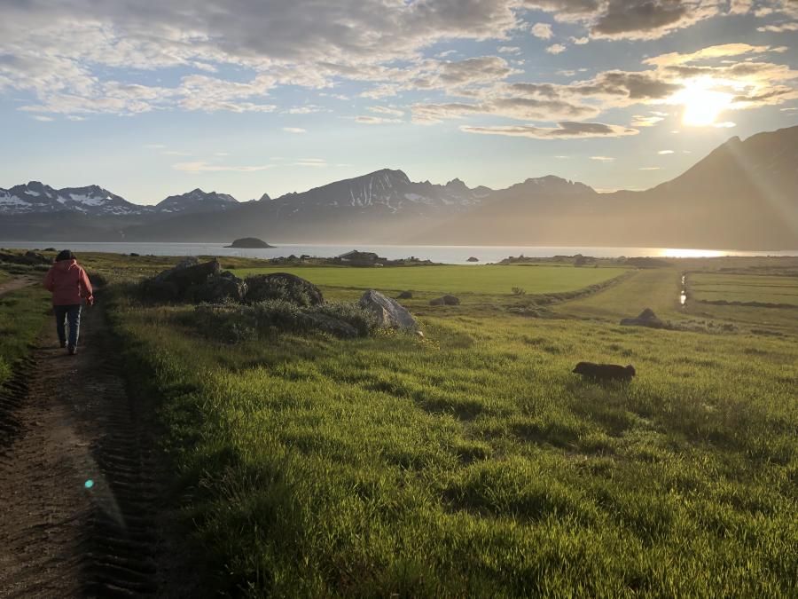 Savaateqarfik Tasermiut Nuugaarsuk, aasaq 2019
