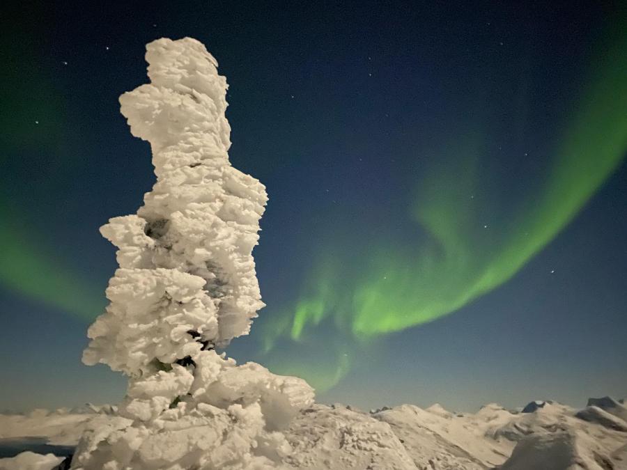 Unnukkut Ukkusissamut aneerneq. Nuuk, decembarip 17-iat 2021
