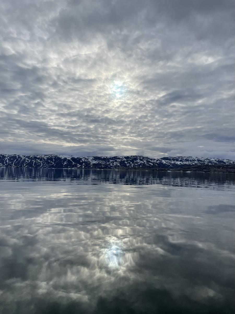 Pinngortitarsuaq kusanartoq
