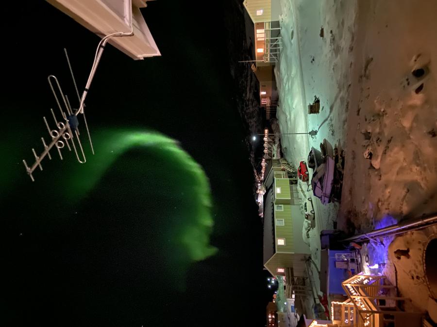 Avatangiiseq kusanaq. Arsarnerit issileraangat assilerusunnartaramik.