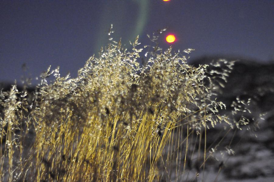 Paamiuni sila anoraannguaq nillertikkiartuaaq