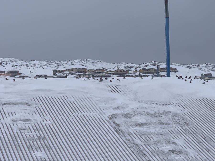 Orpimmiorpaaluit ukiinikut ilamininngui