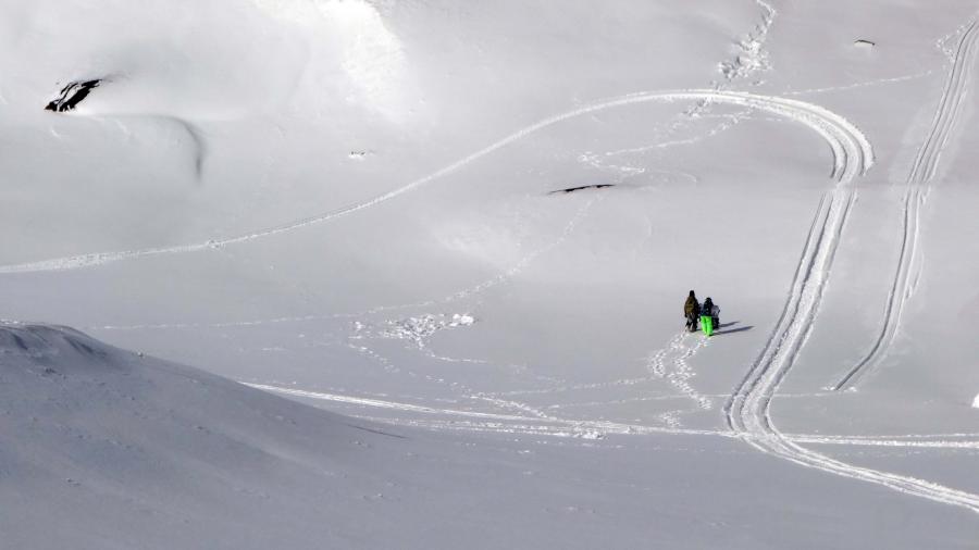 Snow Tracks