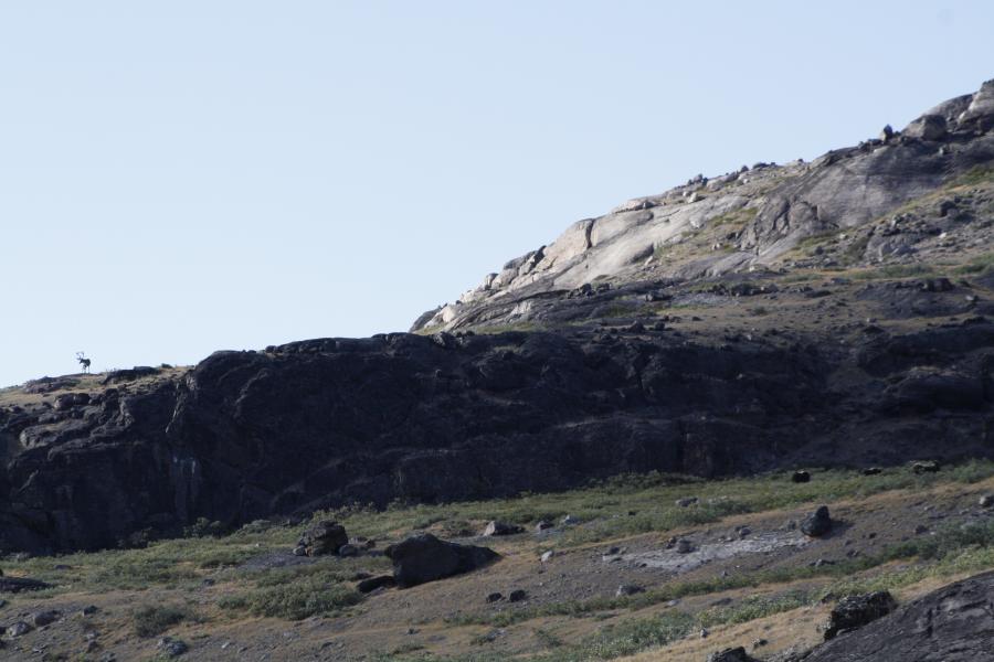 Så du den? Kangerlussuaq 01.08.16