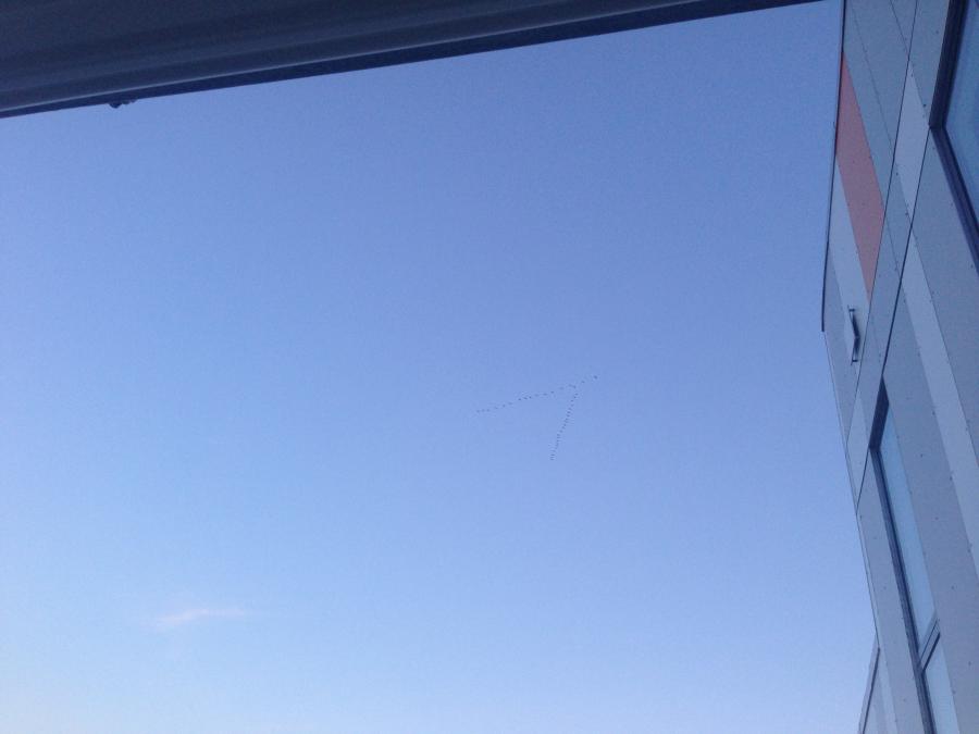 Nerlerit avannamukaat Nuuk qulaakkaat.