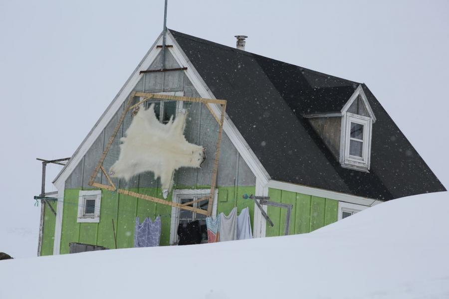 Tasiilaq Icebear