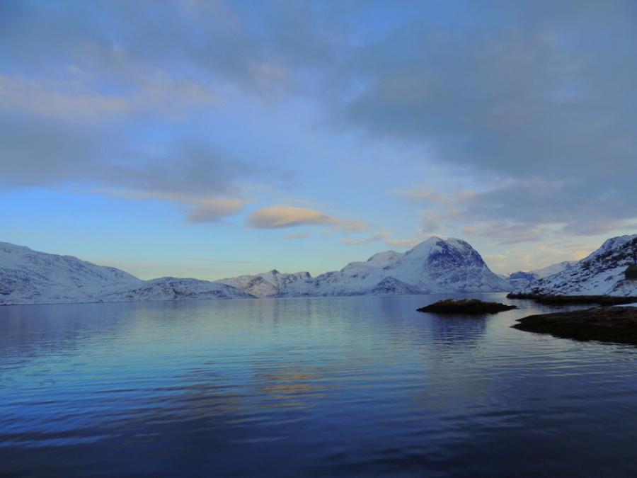 Ammassivik