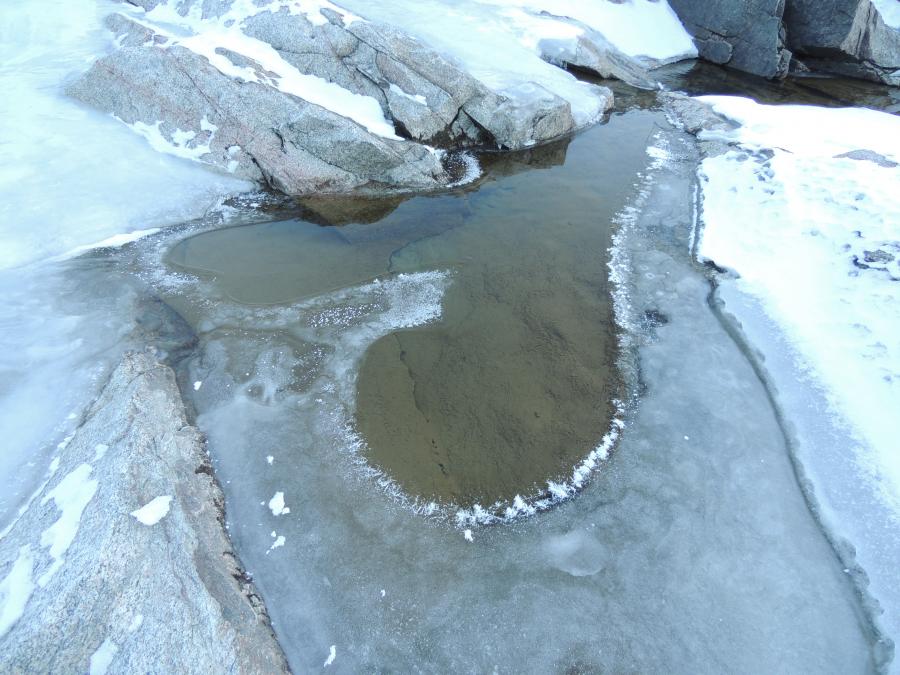 Uumataasaq