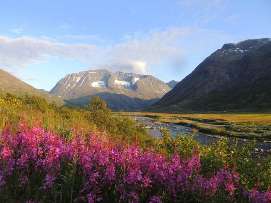 Aasarissuaq Qorlortorsuarmi