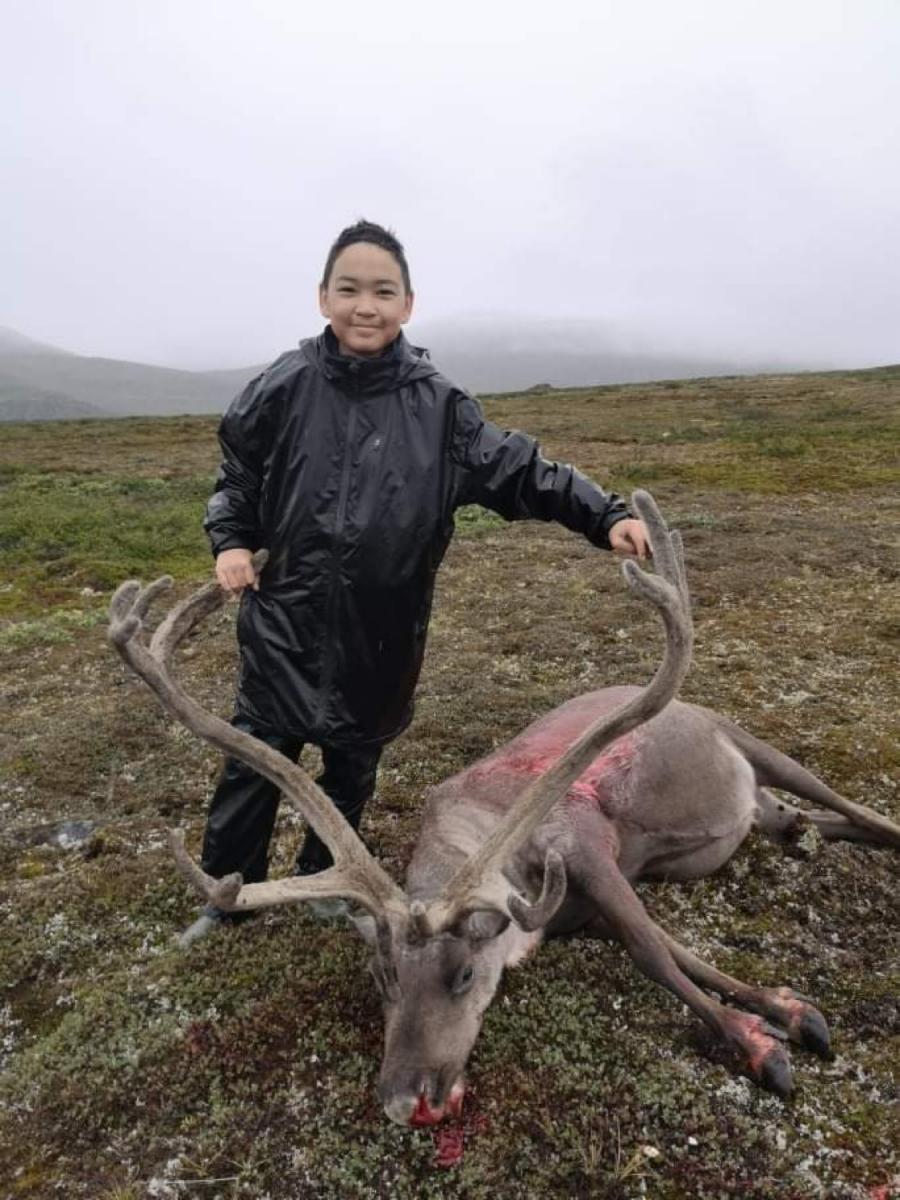 Aavartoq nassuttuumi pernarnikoq Kiiu August 2020