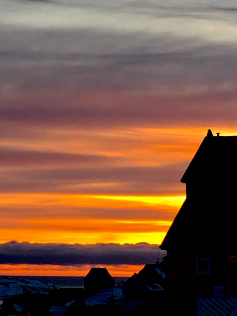 Tulugaq mitsimaartoq