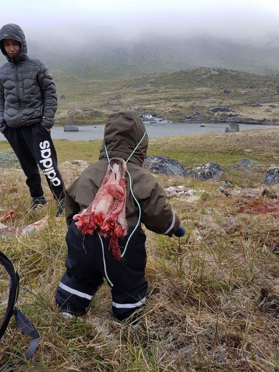 Her er et billede af min ét-årige søn der bærer for første gang, for jeg synes bare han er for sød, kærlig hilsen ataata