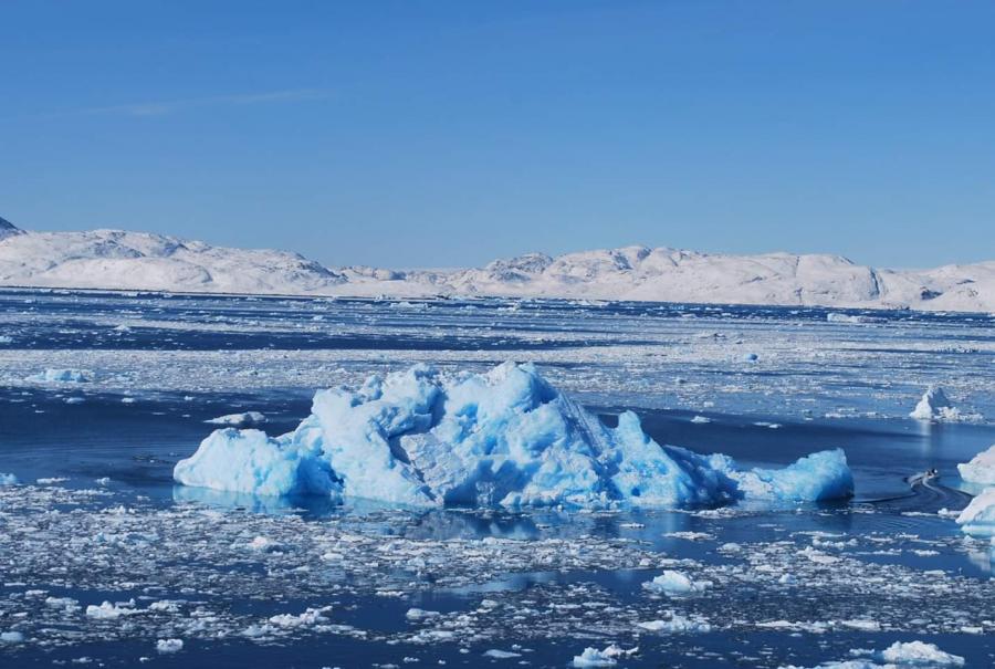 Angallat takuiuk? Narsaq, Marsip 22-at 2019
