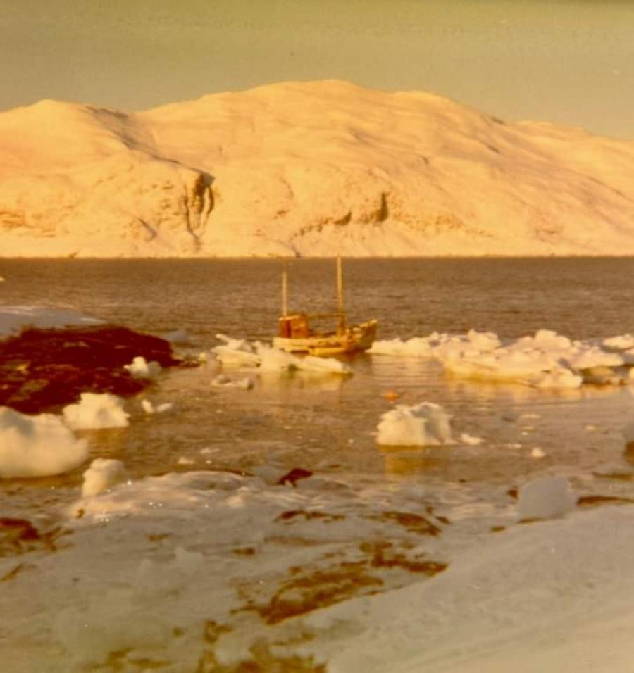 Ammassivimmi ukioq