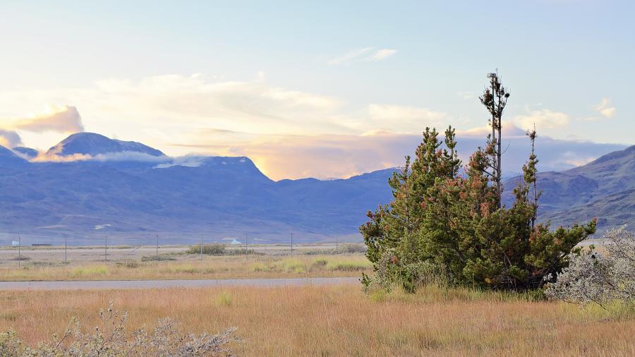 Narsarsuaq
