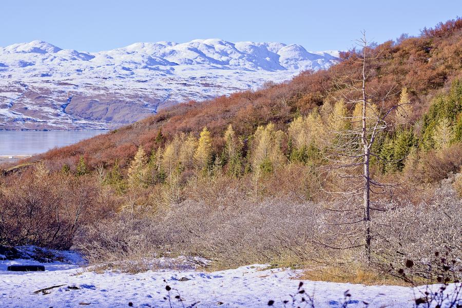 Narsarsuaq ukiulertoq